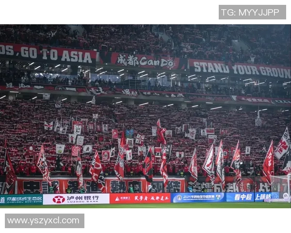 成都排球队状态引发热议球迷与专家各执己见的背后故事